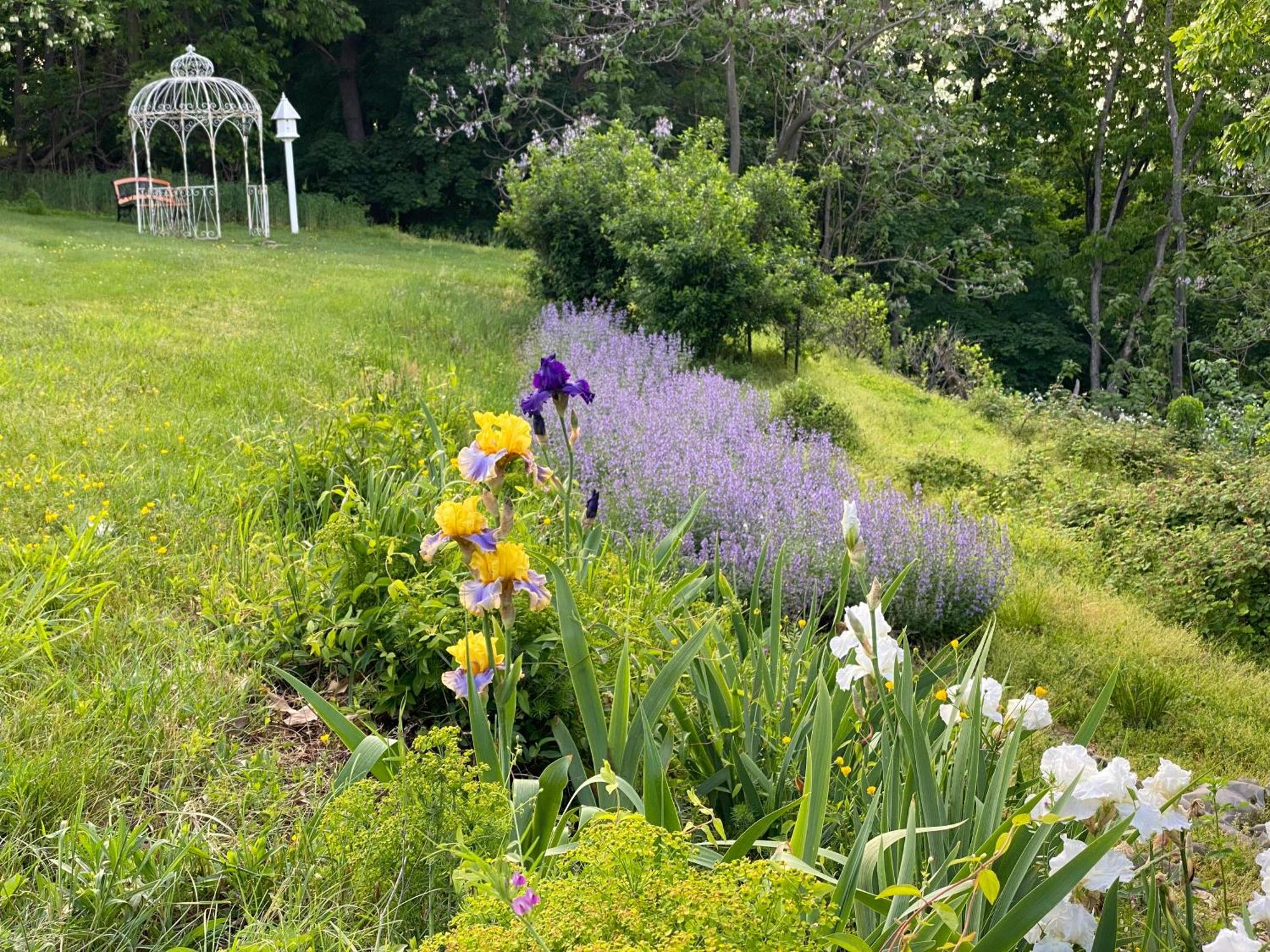 La Soledad Lavender Farm And Guesthouse Harpers Ferry Zewnętrze zdjęcie